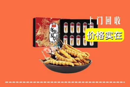 册亨县回收冬虫夏草